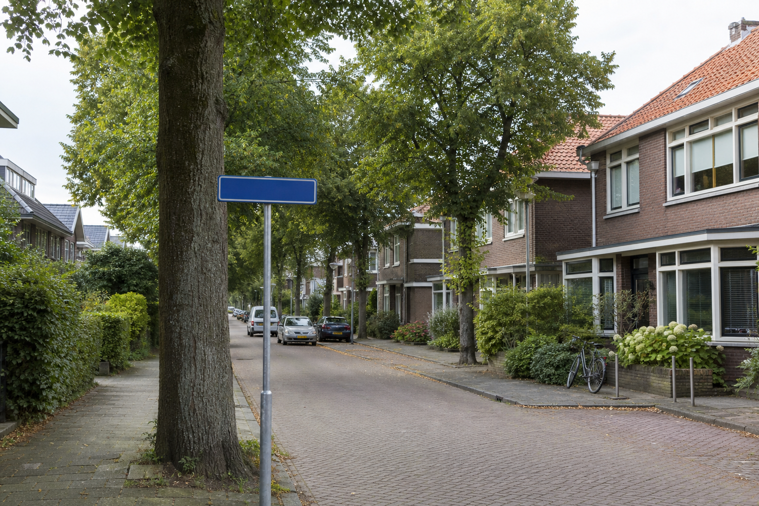 Rustige Nederlandse woonstraat met straatnaambord tussen bomen